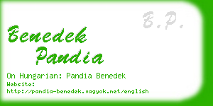 benedek pandia business card